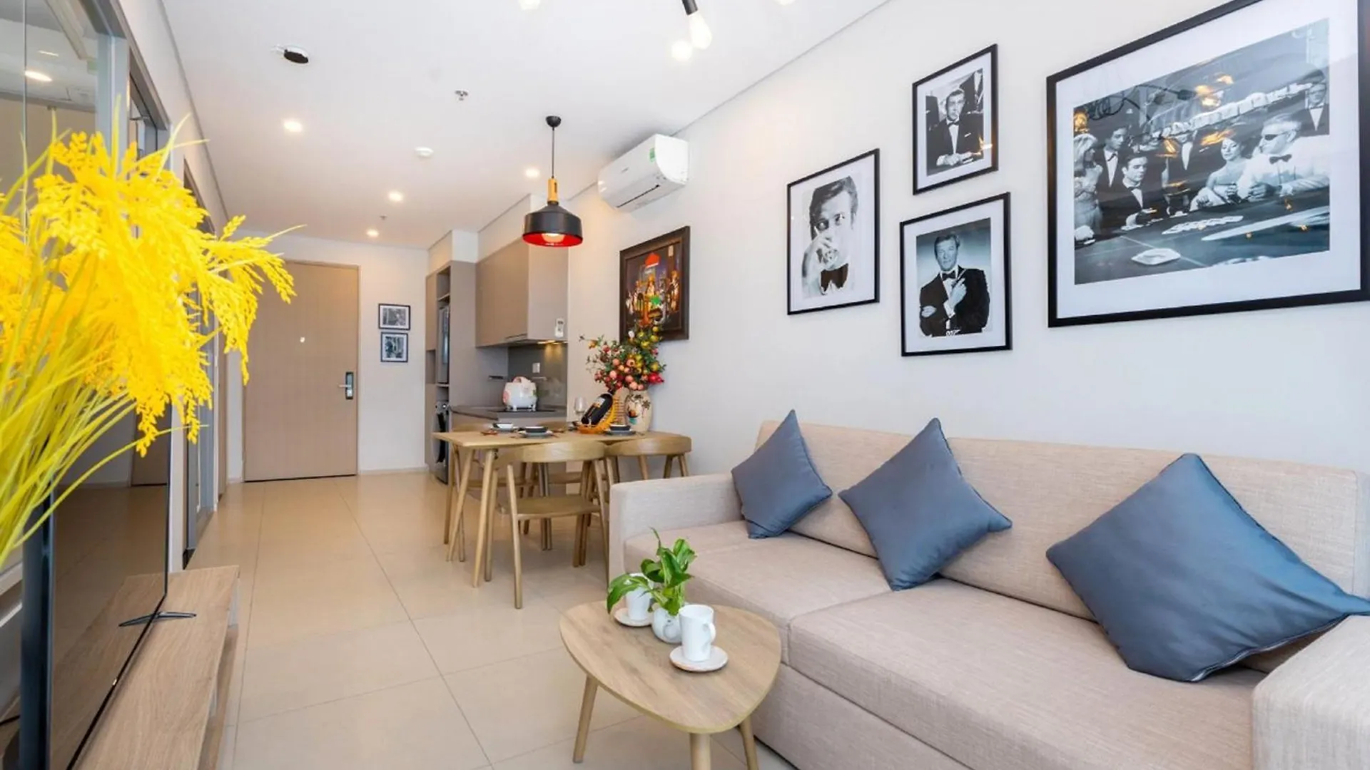 The Song Vung Tau - Su Su Homestay Apartment